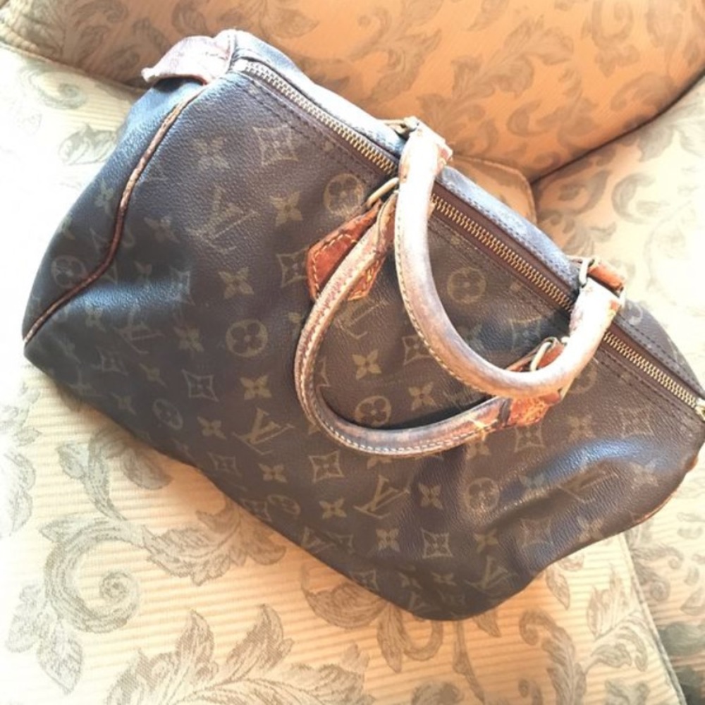 Louis Vuitton Speedy Hand Bag